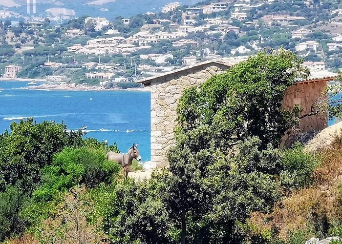 Casa Petra, Typique En Pierres Au Coeur Du Maquis, 2 Pers, Piscine Tatil Evi Pietrosella