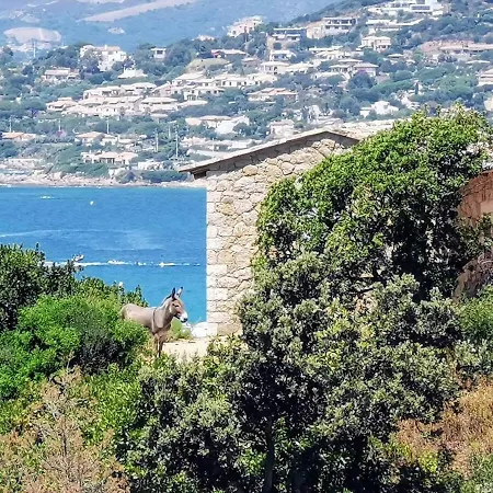 Casa Petra, Typique En Pierres Au Coeur Du Maquis, 2 Pers, Piscine Feriehus Pietrosella